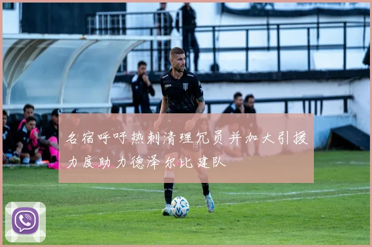 名宿呼吁热刺清理冗员并加大引援力度助力德泽尔比建队